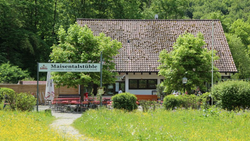 Biergarten Maisentalstüble mit roten Tischen und Stühlen, umgeben von grüner Natur und blühenden Wiesen.
