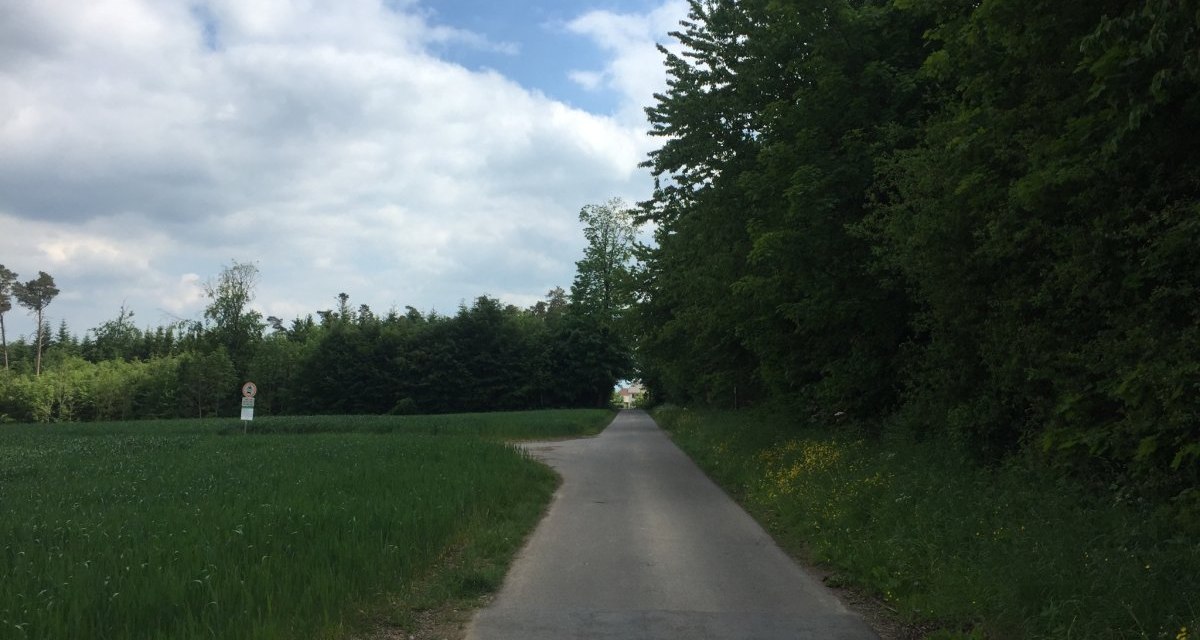 Ein schmaler Weg führt durch eine grüne Landschaft mit Bäumen und Wiesen unter einem bewölkten Himmel., © www.pro-cycl.de Ein schmaler Weg führt durch eine grüne Landschaft mit Bäumen und Wiesen unter einem bewölkten Himmel., © www.pro-cycl.de
