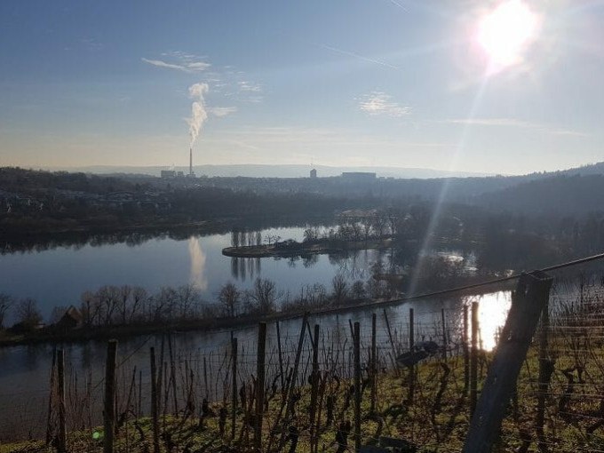Flusslandschaft mit Weinbergen im Vordergrund, Stadt und Schornstein im Hintergrund, sonniger Himmel., &copy; Cool-Tours StattReisen