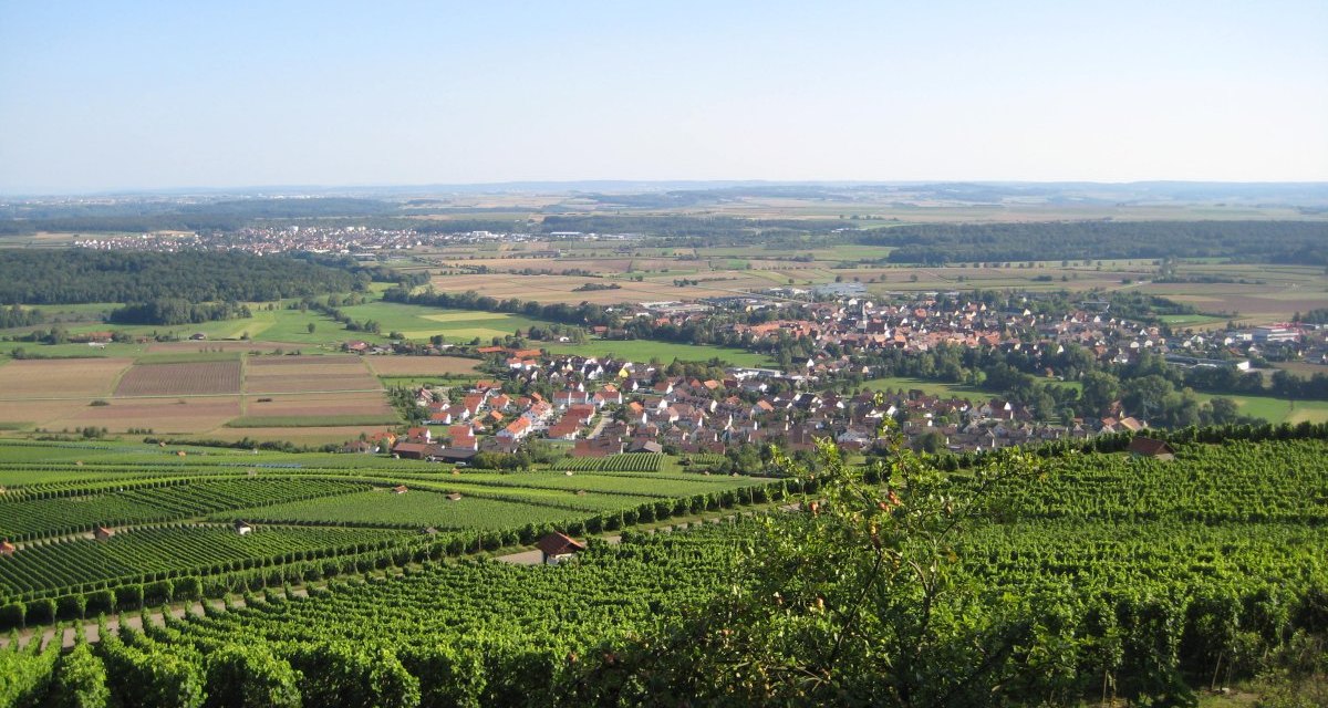 Panoramablick vom Klosterberg über Horrheim mit Weinbergen im Vordergrund und dem Dorf in der Ferne unter klarem Himmel., © Land der 1000 Hügel - Kraichgau-Stromberg Panoramablick vom Klosterberg über Horrheim mit Weinbergen im Vordergrund und dem Dorf in der Ferne unter klarem Himmel., © Land der 1000 Hügel - Kraichgau-Stromberg
