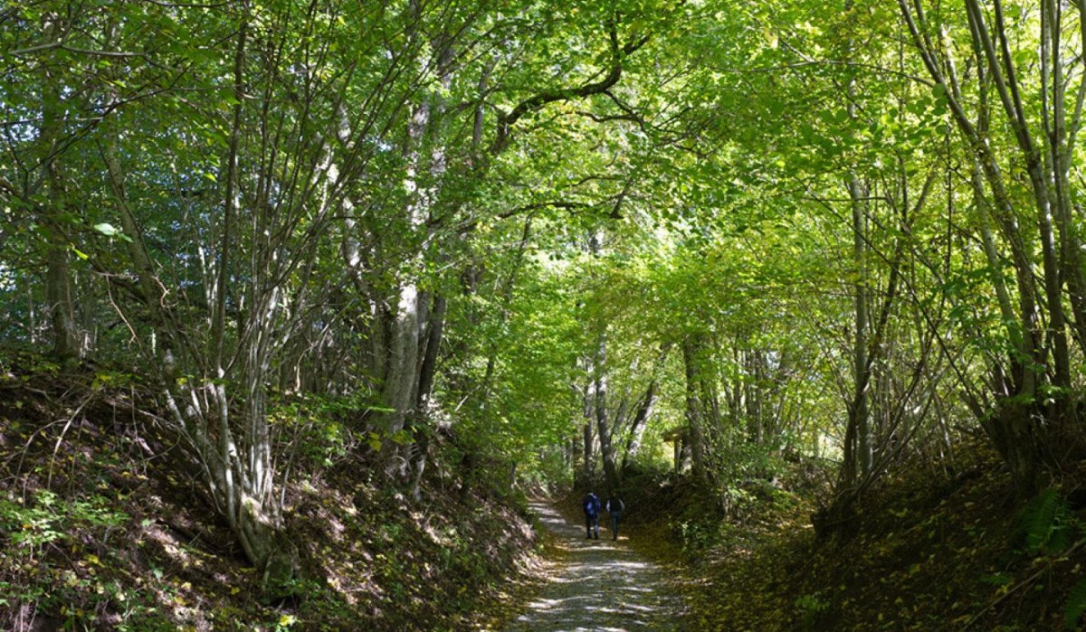 Gaildorf chillt am Gaildorfer Kirchberg Gaildorf chillt am Gaildorfer Kirchberg