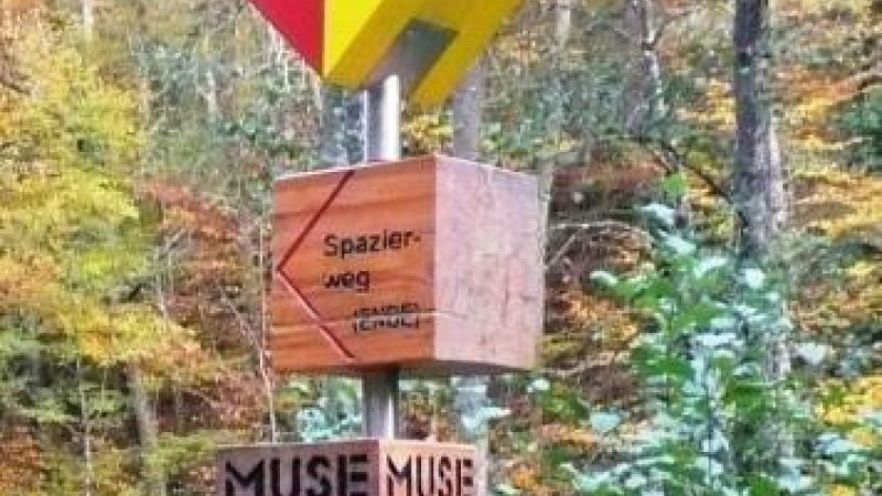 Ein Wegweiser im Wald zeigt den 'Spazierweg' und 'Museum Ritter' an. Bunte Herbstbl&auml;tter im Hintergrund., &copy; Natur.Nah. Sch&ouml;nbuch & Heckeng&auml;u