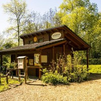 Ein kleines Holzgebäude namens 'Alvarium' steht inmitten einer grünen, bewaldeten Umgebung unter klarem Himmel., © Stuttgart-Marketing GmbH, Sarah Schmid Ein kleines Holzgebäude namens 'Alvarium' steht inmitten einer grünen, bewaldeten Umgebung unter klarem Himmel., © Stuttgart-Marketing GmbH, Sarah Schmid