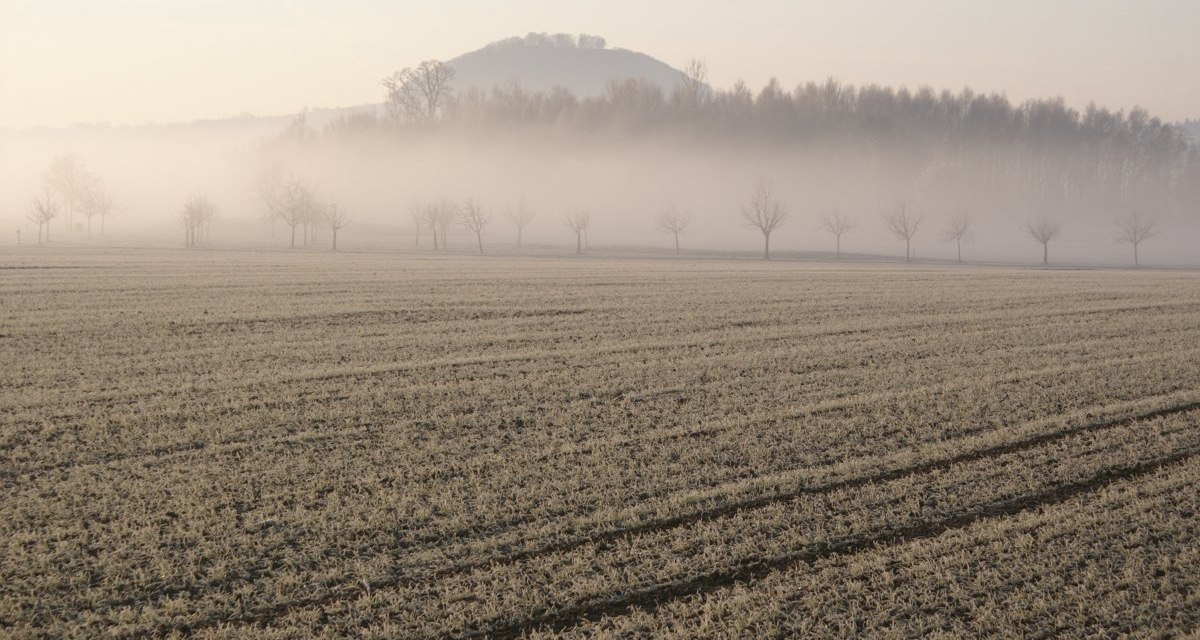 Ein nebelverhangenes Feld mit kahlen B&auml;umen, im Hintergrund der H&uuml;gel Hohenstaufen. Die Szene wirkt ruhig und mystisch., &copy; Stadt Lorch
