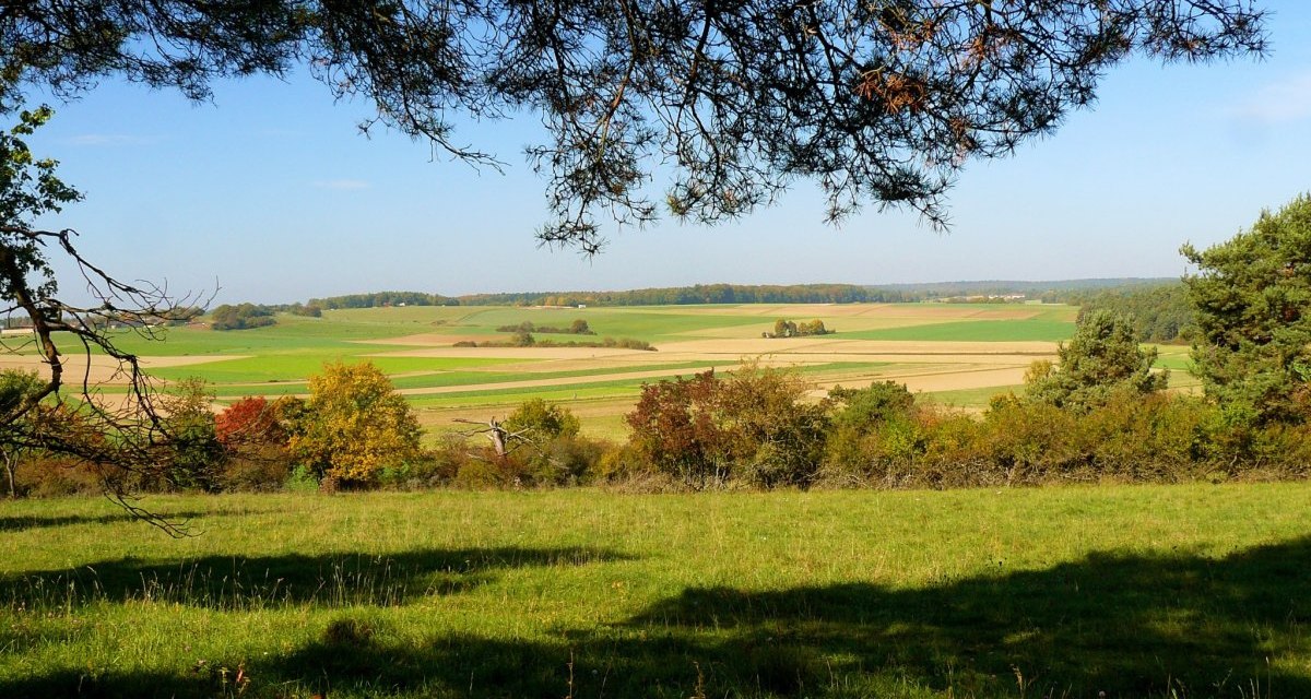 Am Venusberg, © Natur.Nah. Schönbuch & Heckengäu Am Venusberg, © Natur.Nah. Schönbuch & Heckengäu