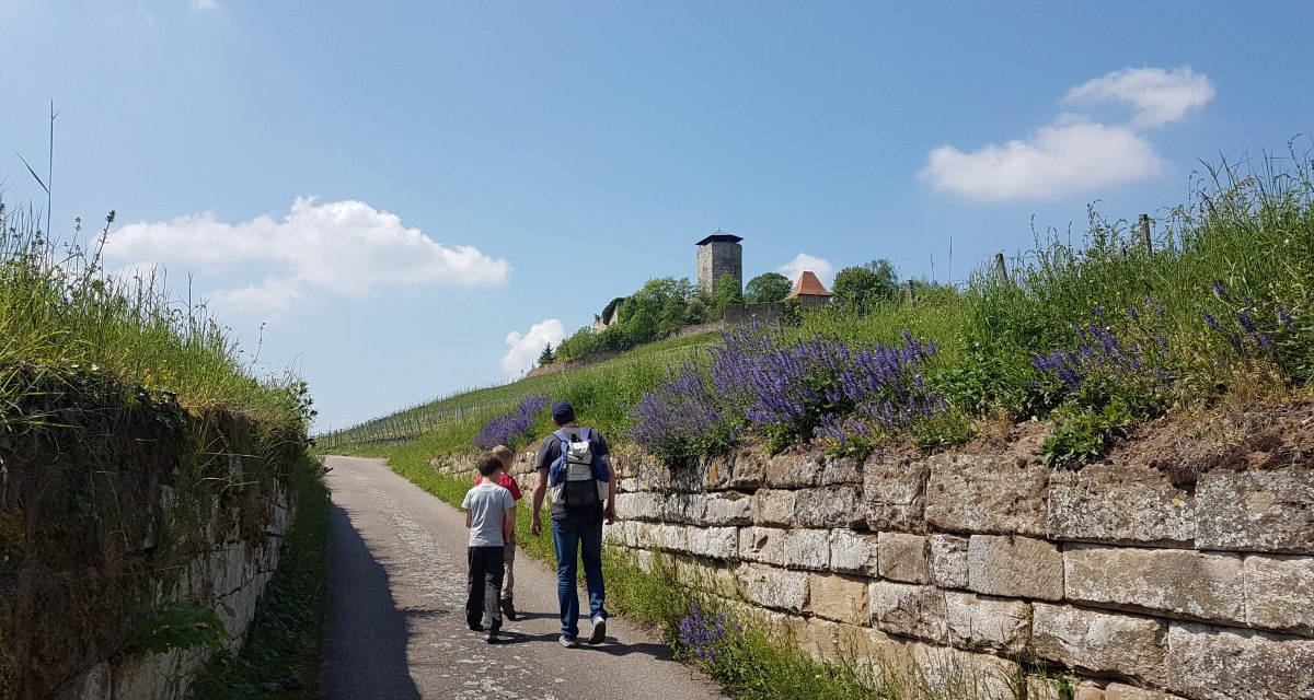 Zwei Personen spazieren auf einem Weg, umgeben von grünen Wiesen und Blumen. Im Hintergrund ist ein Turm zu sehen, unter blauem Himmel., © Tourismusgemeinschaft Marbach-Bottwartal Zwei Personen spazieren auf einem Weg, umgeben von grünen Wiesen und Blumen. Im Hintergrund ist ein Turm zu sehen, unter blauem Himmel., © Tourismusgemeinschaft Marbach-Bottwartal
