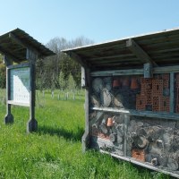 Ein Insektenhotel und eine Infotafel stehen auf einer grünen Wiese im Arboretum Bondorf. Im Hintergrund sind Bäume zu sehen., © Natur.Nah. Schönbuch & Heckengäu
