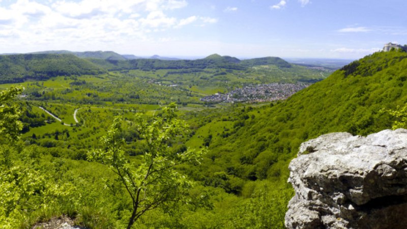 Panoramablick &uuml;ber eine gr&uuml;ne H&uuml;gellandschaft mit einer Burg auf einem H&uuml;gel rechts. Im Tal liegt eine Stadt, umgeben von &uuml;ppiger Vegetation., &copy; Albverein Metzingen