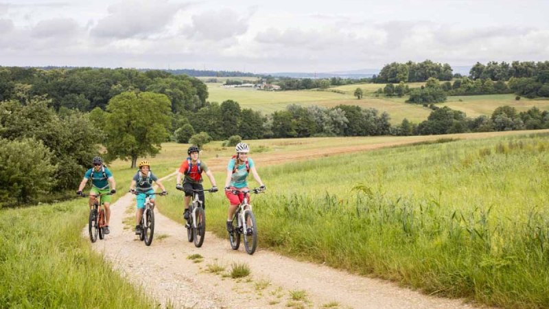 Vier Radfahrer fahren auf einem Feldweg durch eine gr&uuml;ne, h&uuml;gelige Landschaft. Der Himmel ist bew&ouml;lkt., &copy; Schw&auml;bische Alb Tourismusverband e.V.