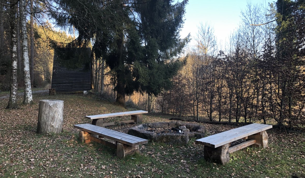 Grillplatz im Wald mit Holzbänken und Baumstumpf, umgeben von Bäumen und Laub., © Nördlicher Schwarzwald