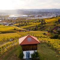 Weingut Wöhrwag Lage, © Weingut Wöhrwag
