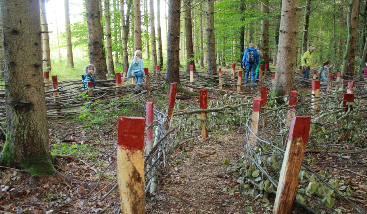 Menschen spazieren durch einen Wald mit geflochtenen Zäunen aus Ästen und rot markierten Pfosten., © Amt für Forsten Landkreis Böblingen Menschen spazieren durch einen Wald mit geflochtenen Zäunen aus Ästen und rot markierten Pfosten., © Amt für Forsten Landkreis Böblingen