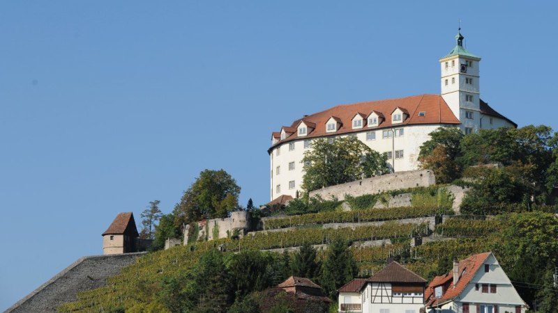 Schloss Kalteneck thront auf einem H&uuml;gel mit Weinbergen, umgeben von B&auml;umen und einem klaren blauen Himmel. Im Vordergrund sind H&auml;user zu sehen., &copy; Stuttgart-Marketing GmbH