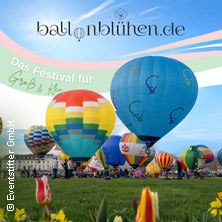 Bunte Heißluftballons steigen bei einem Festival im Blühenden Barock in Ludwigsburg auf. Im Vordergrund blühende Blumen., © links im Bild