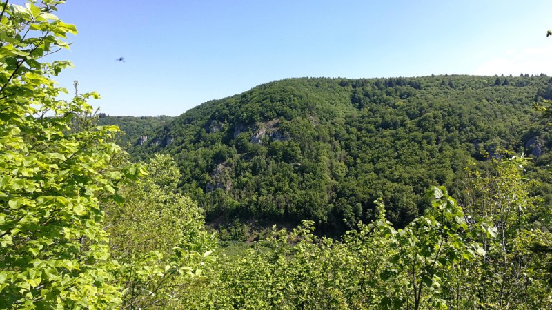 Grüne, bewaldete Hügel erstrecken sich unter einem klaren blauen Himmel. Im Vordergrund sind dichte Büsche und Bäume zu sehen., © Bad Urach Tourismus Grüne, bewaldete Hügel erstrecken sich unter einem klaren blauen Himmel. Im Vordergrund sind dichte Büsche und Bäume zu sehen., © Bad Urach Tourismus