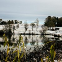 Winterliche Szene am Aichstruter Stausee mit schneebedeckten Feldern und Bäumen, die sich im ruhigen Wasser spiegeln. Ein kleines Gebäude steht am Ufer., © Stuttgart-Marketing GmbH, Sarah Schmid Winterliche Szene am Aichstruter Stausee mit schneebedeckten Feldern und Bäumen, die sich im ruhigen Wasser spiegeln. Ein kleines Gebäude steht am Ufer., © Stuttgart-Marketing GmbH, Sarah Schmid