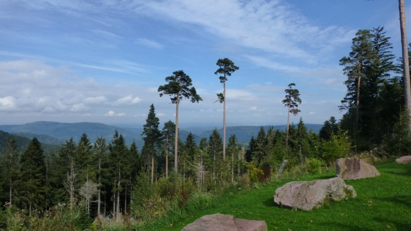 Blick von der Hahnenfalzh&uuml;tte: Gr&uuml;ne Wiese mit gro&szlig;en Felsen, dahinter hohe B&auml;ume und ein weiter Blick &uuml;ber bewaldete H&uuml;gel unter blauem Himmel., &copy; N&ouml;rdlicher Schwarzwald