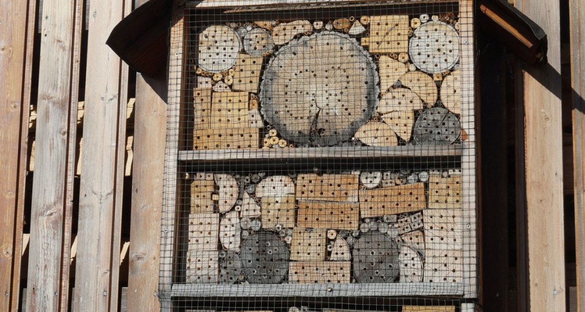 Ein Wildbienenhotel aus Holz und Ziegeln, das an einer Holzwand befestigt ist. Es bietet Nistmöglichkeiten für Insekten., © Natur.Nah. Schönbuch & Heckengäu Ein Wildbienenhotel aus Holz und Ziegeln, das an einer Holzwand befestigt ist. Es bietet Nistmöglichkeiten für Insekten., © Natur.Nah. Schönbuch & Heckengäu
