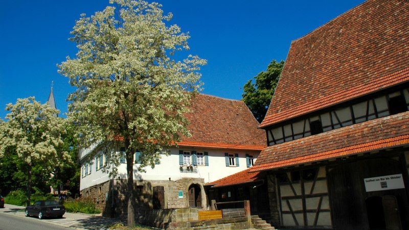 Ein traditionelles Bauernhausmuseum mit Fachwerkgebäude, blühenden Bäumen und blauem Himmel. Ein Schild zeigt Öffnungszeiten an., © Stadt Leonberg