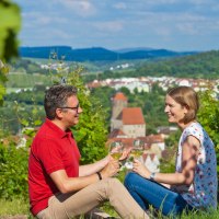 Zwei Personen sitzen in einem Weinberg und stoßen mit Weingläsern an. Im Hintergrund ist die Stadt Besigheim mit ihren Gebäuden und Türmen zu sehen., © Boris Lehner Zwei Personen sitzen in einem Weinberg und stoßen mit Weingläsern an. Im Hintergrund ist die Stadt Besigheim mit ihren Gebäuden und Türmen zu sehen., © Boris Lehner