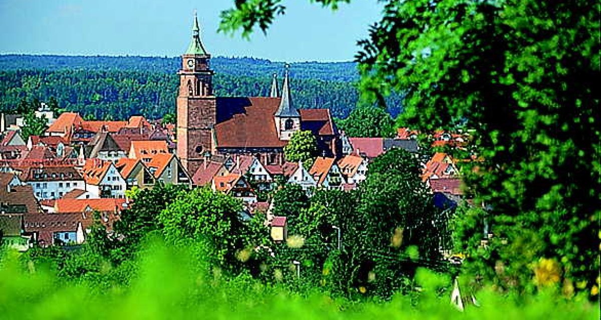 Stadtansicht mit Kirche und roten D&auml;chern, umgeben von gr&uuml;nen B&auml;umen und Wald im Hintergrund., &copy; Natur.Nah. Sch&ouml;nbuch & Heckeng&auml;u