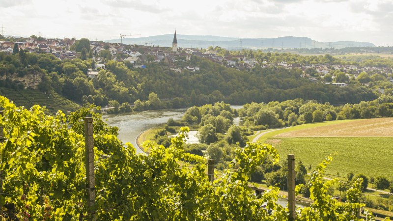 Weinberge überblicken eine Flusslandschaft mit einer Stadt im Hintergrund. Die Landschaft ist grün und hügelig, mit einem Kirchturm sichtbar., © SMG, Ellen Haeffner Weinberge überblicken eine Flusslandschaft mit einer Stadt im Hintergrund. Die Landschaft ist grün und hügelig, mit einem Kirchturm sichtbar., © SMG, Ellen Haeffner