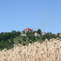 Burg und Schloss Stetten auf einem bewaldeten Hügel, umgeben von Bäumen. Im Vordergrund ein Weizenfeld unter klarem, blauem Himmel., © Touristikgemeinschaft Hohenlohe, Künzelsau / Marion Schlund