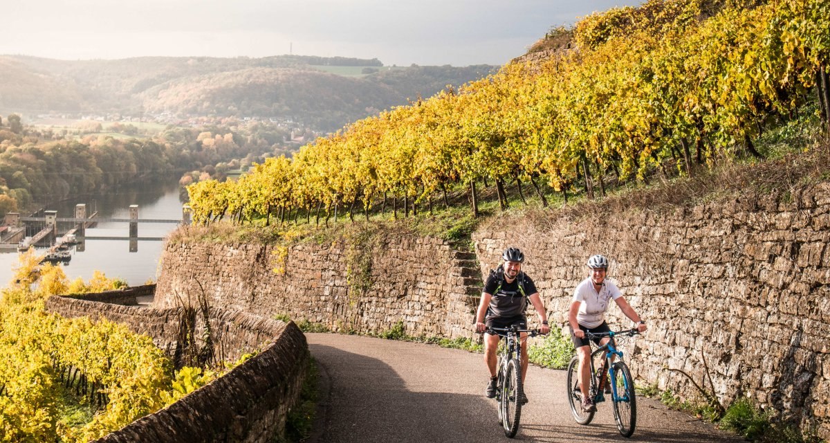 Zwei Radfahrer auf einem Weg durch herbstliche Weinberge, im Hintergrund ein Fluss und bewaldete H&uuml;gel., &copy; Gesch&auml;ftsstelle Neckartal-Radweg_Adrian Weng
