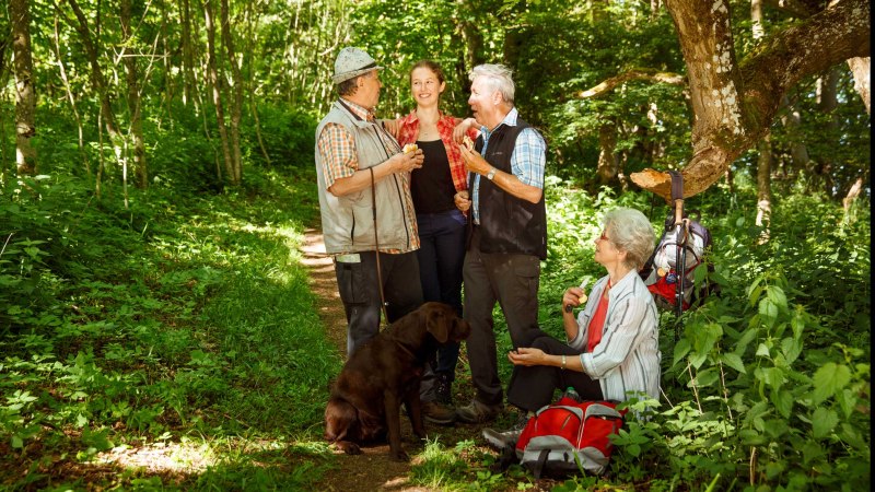 Genusswandern durch den Wald der Sinne, © Landratsamt Göppingen, Tobias Fröhner Photograpy