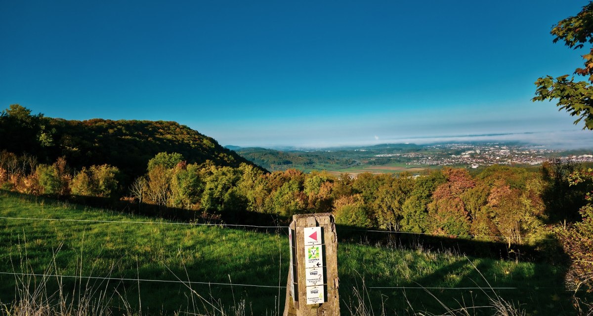 Panoramablick von der Maierhalde auf ein grünes Tal und eine Stadt in der Ferne. Ein Holzpfosten mit Wanderwegmarkierungen steht im Vordergrund., © Landkreis Göppingen Panoramablick von der Maierhalde auf ein grünes Tal und eine Stadt in der Ferne. Ein Holzpfosten mit Wanderwegmarkierungen steht im Vordergrund., © Landkreis Göppingen