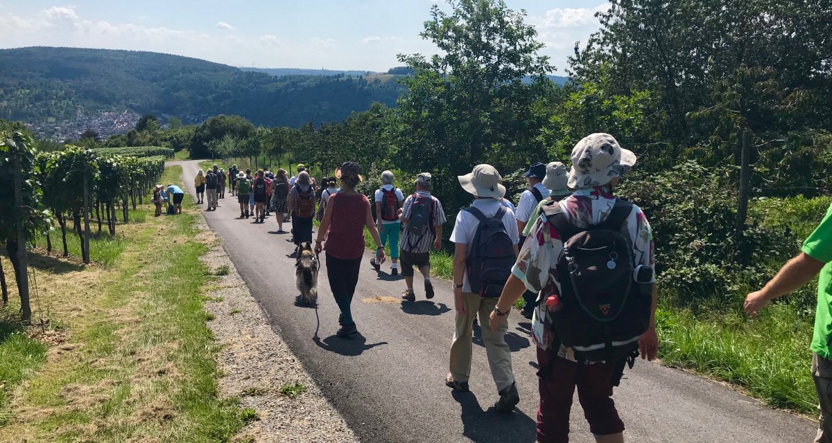 Pilgergruppe wandert auf einem Weg durch grüne Landschaft mit Blick auf den Schurwald im Hintergrund., © Ev. Kirchenbezirk Schorndorf