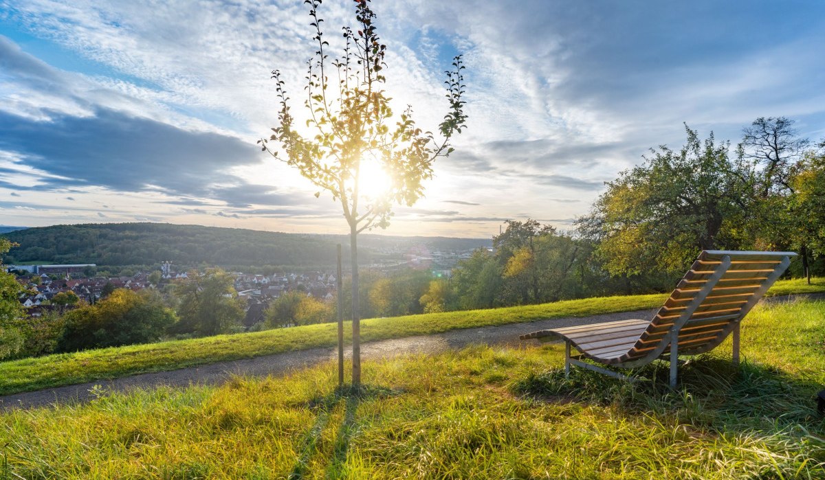 Sonnenuntergang über einer grünen Wiese mit Holzliege und jungem Baum, im Hintergrund eine Stadtlandschaft und bewaldete Hügel., © Martina Denker Stuttgart Marketing GmbH