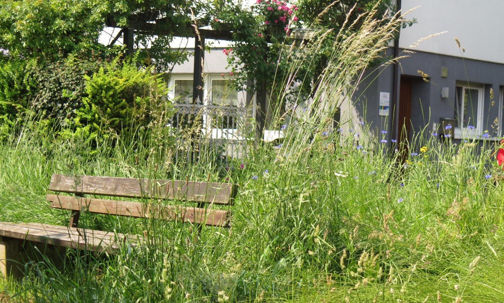 Backnanger Stadtteil Sch&ouml;ntal, &copy; Stadt Backnang