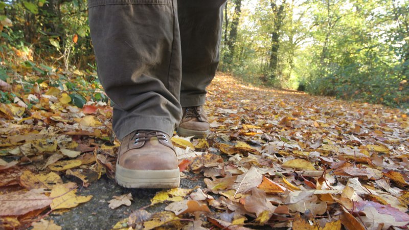 Nahaufnahme von Wanderschuhen auf einem mit bunten Herbstblättern bedeckten Waldweg. Die Umgebung ist grün und herbstlich., © Stadt Schorndorf