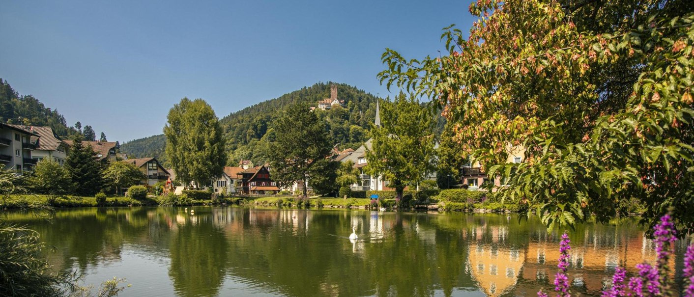 Der Stadtsee in Bad Liebenzell spiegelt die umliegenden H&auml;user wider. Im Hintergrund ist eine Burg auf einem bewaldeten H&uuml;gel zu sehen., &copy; SMG, Sarah Schmid