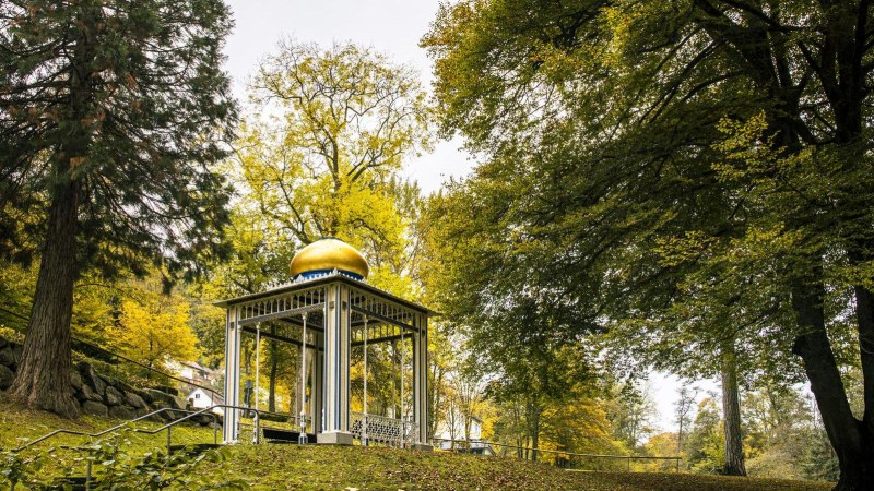 Ein Pavillon mit goldener Kuppel steht im Kurpark von Bad Wildbad, umgeben von herbstlich gefärbten Bäumen und einem grünen Rasen., © SMG, Sarah Schmid