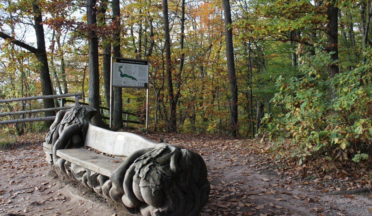 Eine kunstvoll geschnitzte Holzbank steht im herbstlichen Wald. Im Hintergrund ist eine Infotafel zu sehen. Der Boden ist mit Laub bedeckt., © Natur.Nah. Schönbuch & Heckengäu Eine kunstvoll geschnitzte Holzbank steht im herbstlichen Wald. Im Hintergrund ist eine Infotafel zu sehen. Der Boden ist mit Laub bedeckt., © Natur.Nah. Schönbuch & Heckengäu