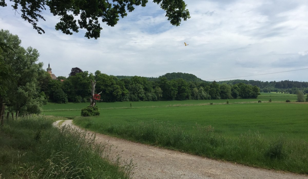 Ein Feldweg führt durch eine grüne Landschaft. Ein Kunstwerk ist auf einem Baumstumpf platziert. Im Hintergrund sind Bäume und ein Gebäude zu sehen., © www.pro-cycl.de