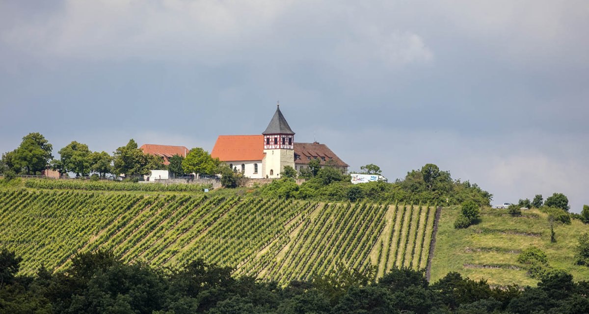 Michaelsberg, © Stadt Bönnigheim Michaelsberg, © Stadt Bönnigheim