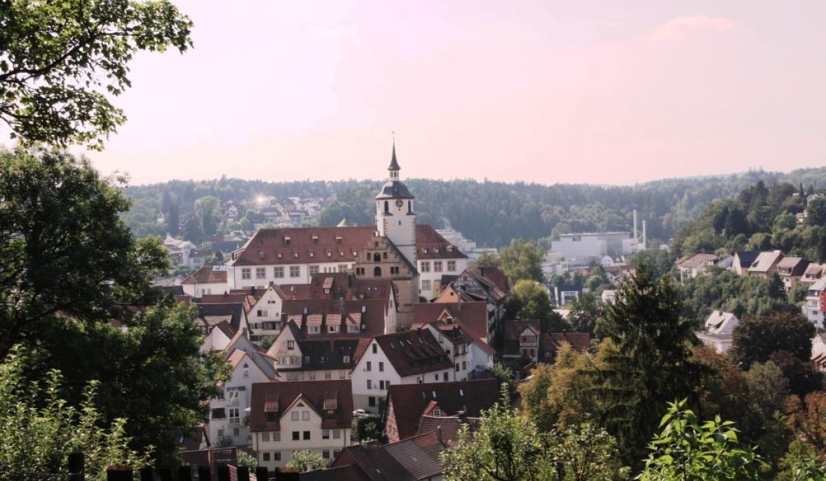 Malerische Stadtansicht mit einem zentralen Gebäude mit Turm, umgeben von roten Dächern, Bäumen und Hügeln im Hintergrund., © Natur.Nah. Schönbuch & Heckengäu Malerische Stadtansicht mit einem zentralen Gebäude mit Turm, umgeben von roten Dächern, Bäumen und Hügeln im Hintergrund., © Natur.Nah. Schönbuch & Heckengäu