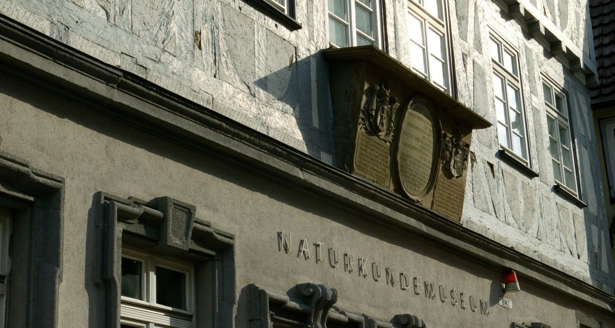 Fassade des Naturkundemuseums Reutlingen mit dekorativen Fenstern und Holztüren, beschriftet mit 'Naturkundemuseum'., © Sphäre Verlag Fassade des Naturkundemuseums Reutlingen mit dekorativen Fenstern und Holztüren, beschriftet mit 'Naturkundemuseum'., © Sphäre Verlag