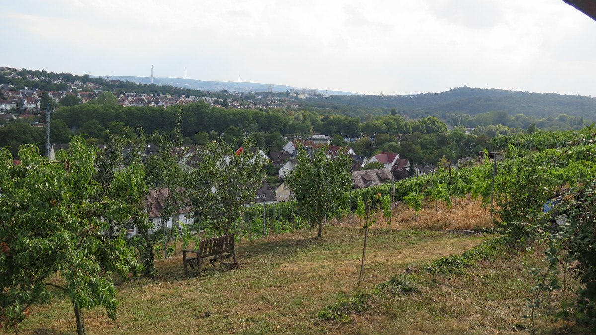 Weinberge mit einer Holzbank im Vordergrund, dahinter eine Stadt und Hügel. Der Himmel ist bewölkt, die Landschaft wirkt ruhig und idyllisch., © Stuttgart-Marketing GmbH
