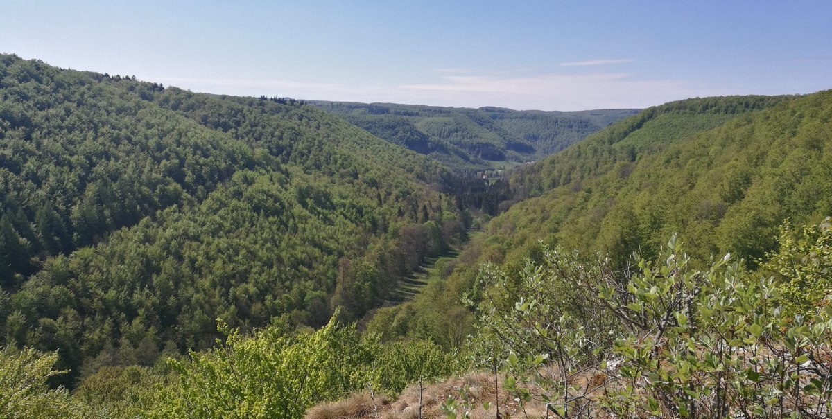 Panoramablick vom Lauereckfels auf bewaldete Hügel und Täler unter klarem, blauem Himmel., © Bad Urach Tourismus