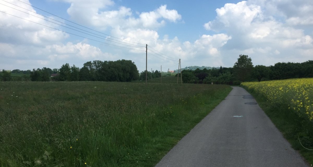 Ein asphaltierter Radweg schlängelt sich durch grüne Wiesen und gelbe Felder unter einem blauen Himmel mit weißen Wolken., © www.pro-cycl.de Ein asphaltierter Radweg schlängelt sich durch grüne Wiesen und gelbe Felder unter einem blauen Himmel mit weißen Wolken., © www.pro-cycl.de