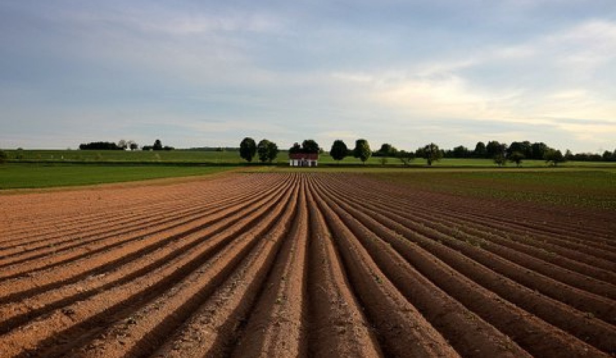 Weitläufiges Feld mit Furchen, im Hintergrund ein kleines Gebäude und Bäume unter bewölktem Himmel., © Remstal Tourismus e.V.
