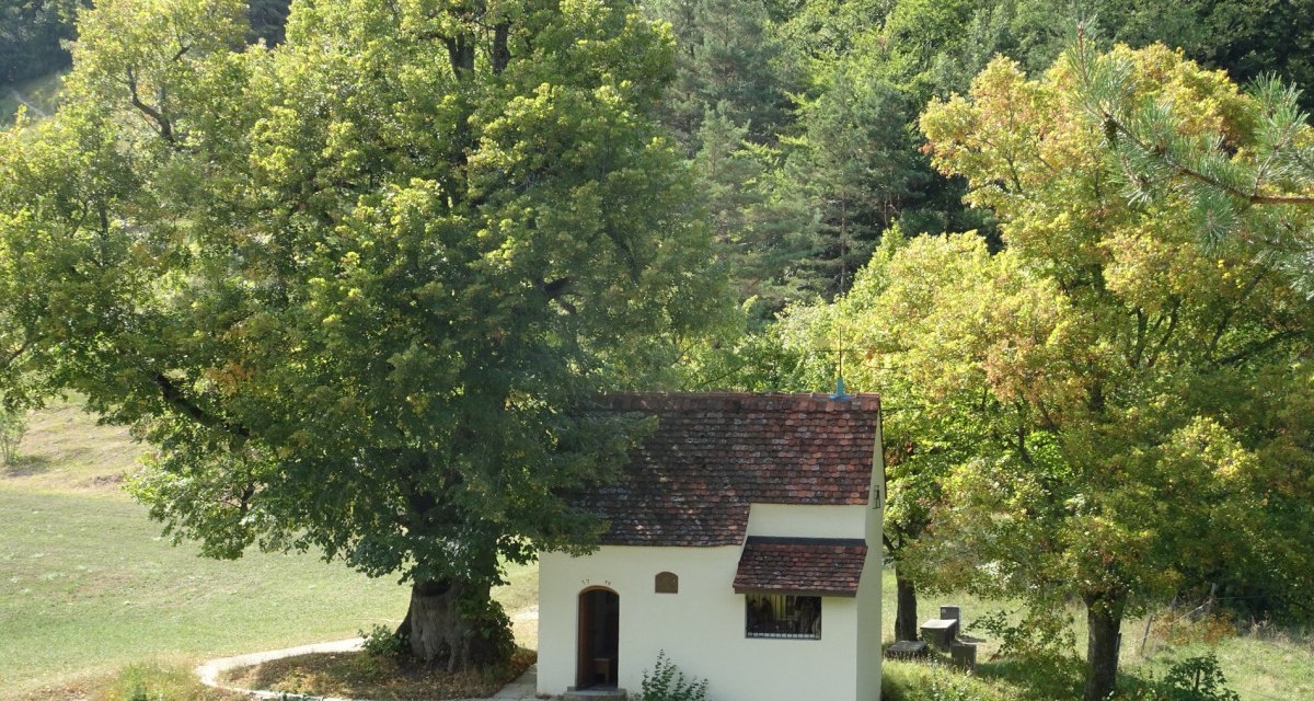 Die Reiterleskapelle steht idyllisch inmitten von Bäumen und grüner Natur, mit einem kleinen Weg, der zur Kapelle führt., © Foto: Frieder Kopper Die Reiterleskapelle steht idyllisch inmitten von Bäumen und grüner Natur, mit einem kleinen Weg, der zur Kapelle führt., © Foto: Frieder Kopper
