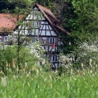 Ein Fachwerkhaus steht hinter blühenden Bäumen, umgeben von grüner Natur und einer Wiese im Vordergrund., © Natur.Nah. Schönbuch & Heckengäu