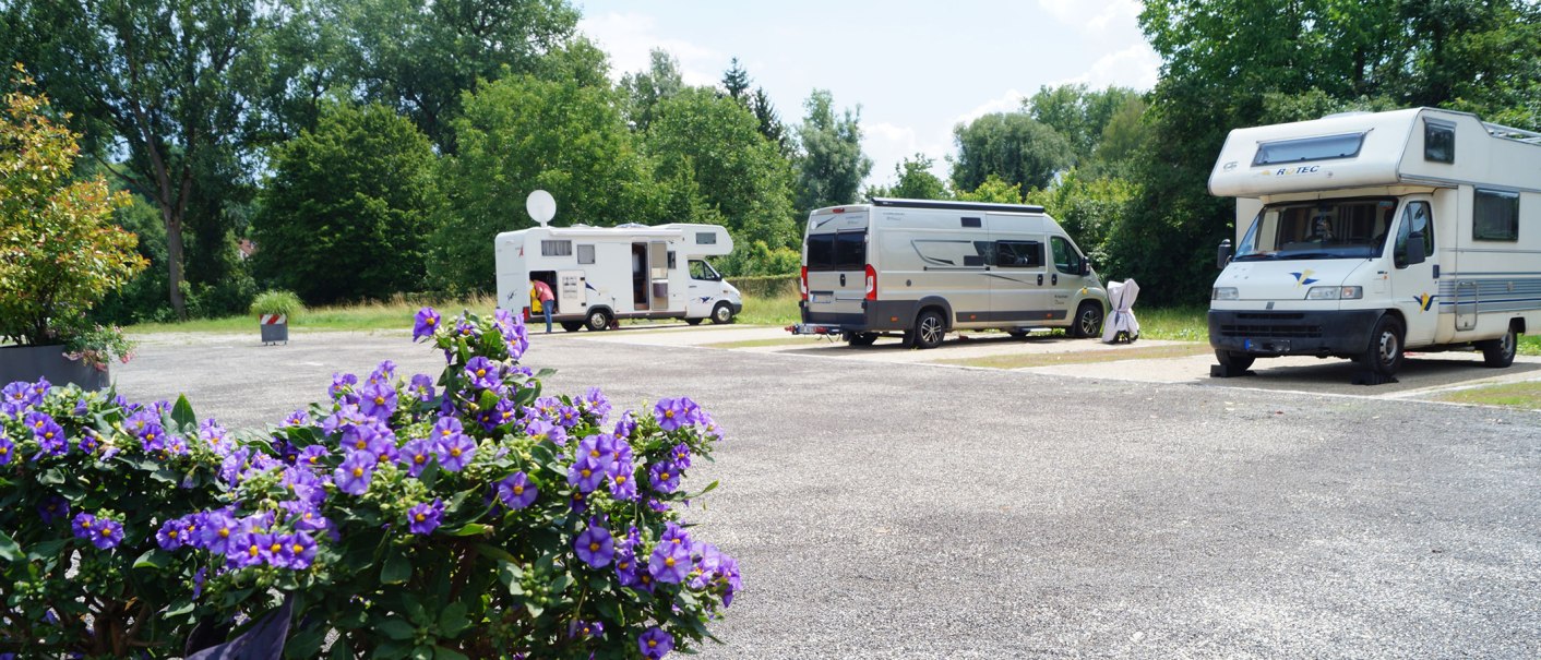 Wohnmobile auf einem Stellplatz in Nürtingen, umgeben von Bäumen. Im Vordergrund blühende violette Blumen., © Stadt Nürtingen, Clint Metzger