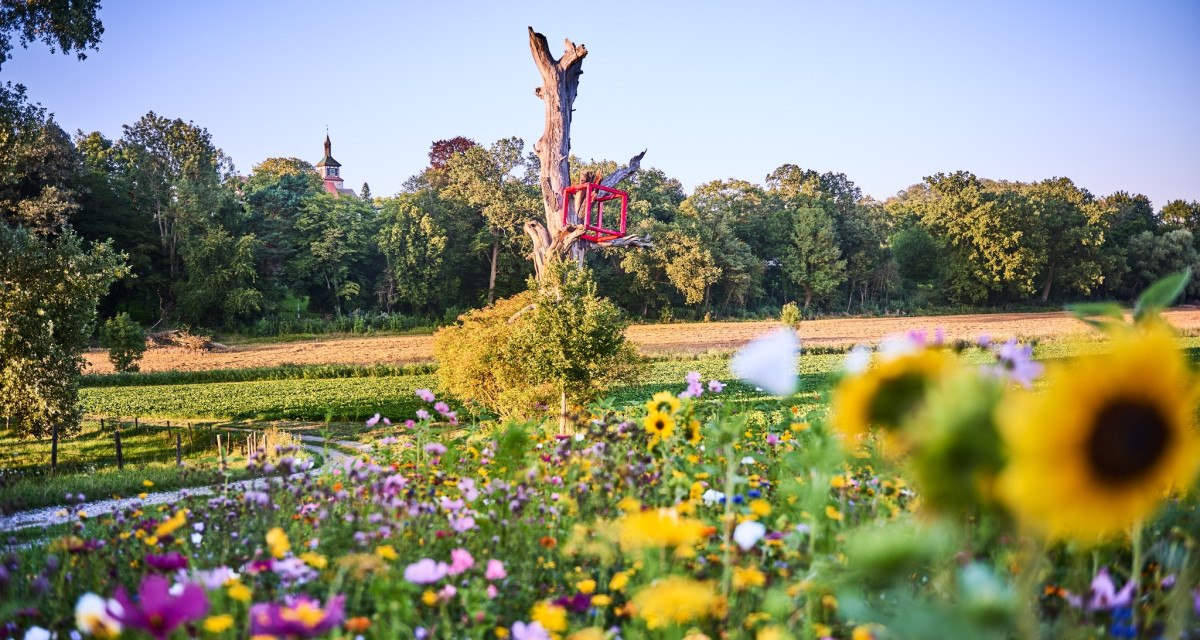 Bunte Blumenwiese mit einem Baumstumpf, auf dem eine rote Skulptur steht. Im Hintergrund sind ein Schloss und Bäume zu sehen., © Natur.Nah. Schönbuch & Heckengäu Bunte Blumenwiese mit einem Baumstumpf, auf dem eine rote Skulptur steht. Im Hintergrund sind ein Schloss und Bäume zu sehen., © Natur.Nah. Schönbuch & Heckengäu