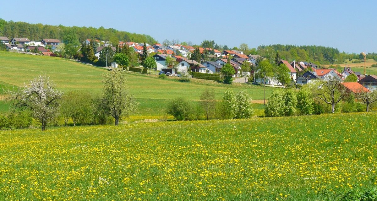 &copy; Natur.Nah. Sch&ouml;nbuch & Heckeng&auml;u